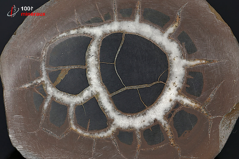 Minéral scié poli de septaria du Maroc