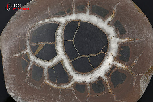 Minéral scié poli de septaria du Maroc