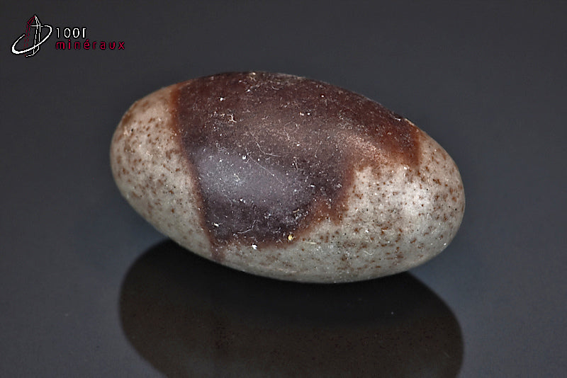 Minéral poli de Shiva Lingam d'Inde