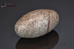 Shiva Lingam poli - Inde - pierres roulées 3,7 cm / 22 g / BC687 - Vignette | 1001 minéraux