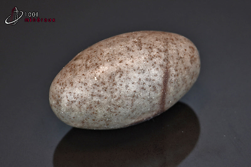 Minéral poli de Shiva Lingam d'Inde