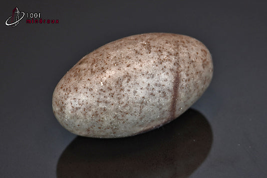 Minéral poli de Shiva Lingam d'Inde