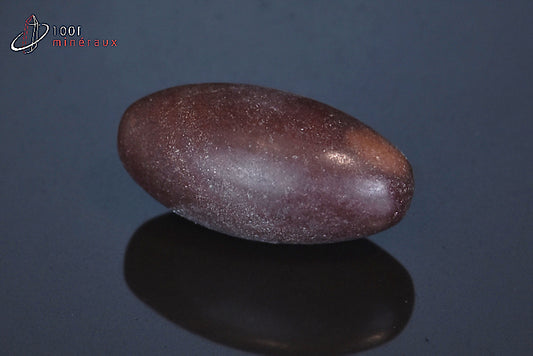 Minéral poli de Shiva Lingam d'Inde