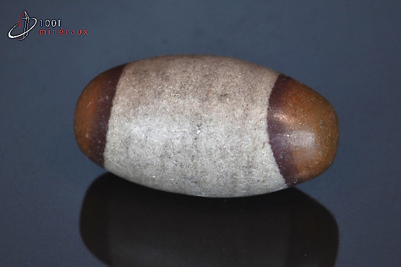 Minéral poli de Shiva Lingam d'Inde