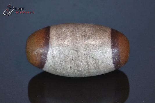 Minéral poli de Shiva Lingam d'Inde