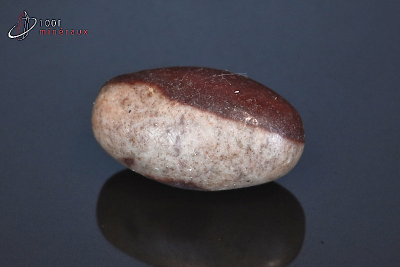 Minéral poli de Shiva Lingam d'Inde