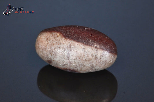 Minéral poli de Shiva Lingam d'Inde