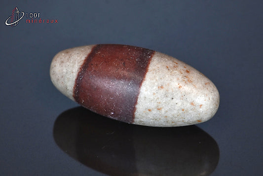 Minéral poli de Shiva Lingam d'Inde