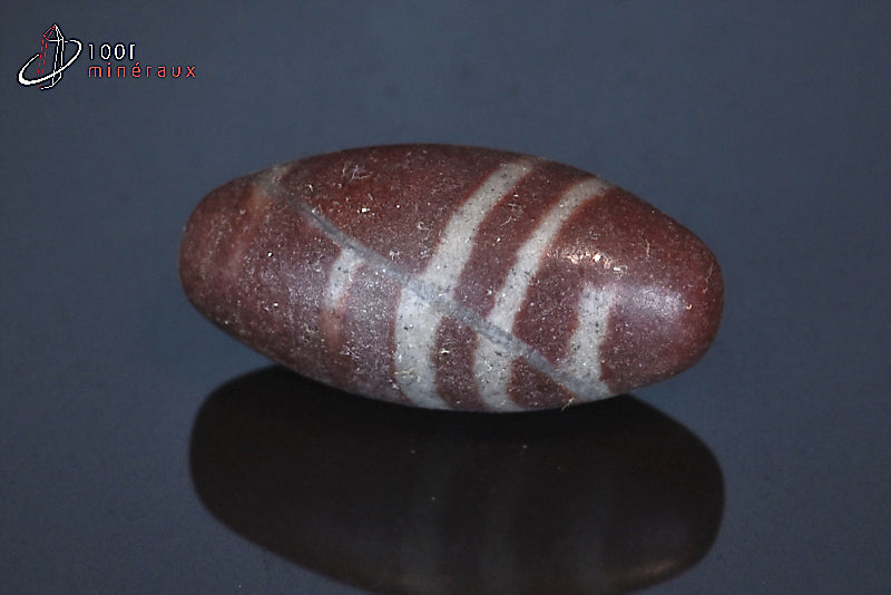 Minéral poli de Shiva Lingam d'Inde
