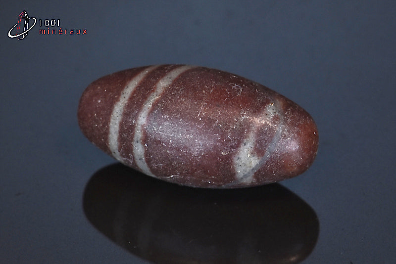 Minéral poli de Shiva Lingam d'Inde