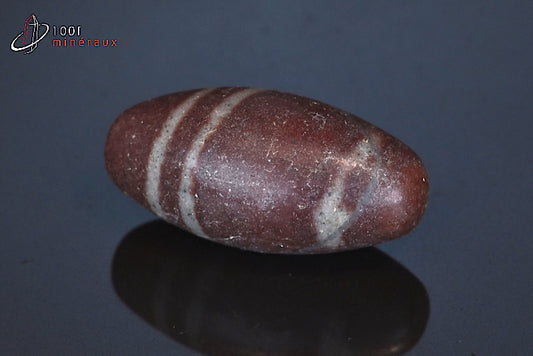 Minéral poli de Shiva Lingam d'Inde