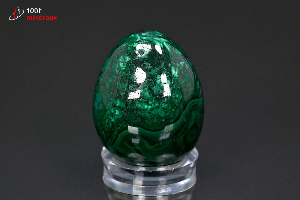Malachite polie en œuf RDC - Vue de profil avec socle - 121 g - BC910