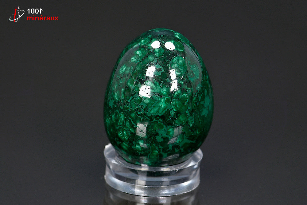 Malachite polie en œuf de la République Démocratique du Congo - Vue d'ensemble, 121 g - BC910