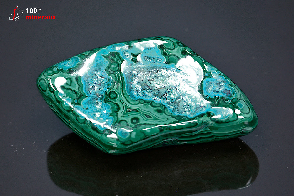 Minéral poli de chrysocolle et malachite du République démocratique du Congo