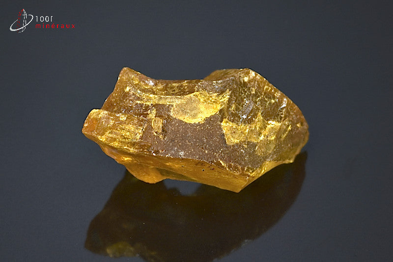 Copal jaune de Madagascar