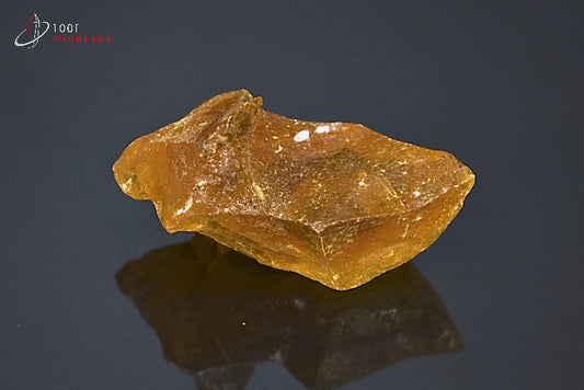 Copal jaune de Madagascar