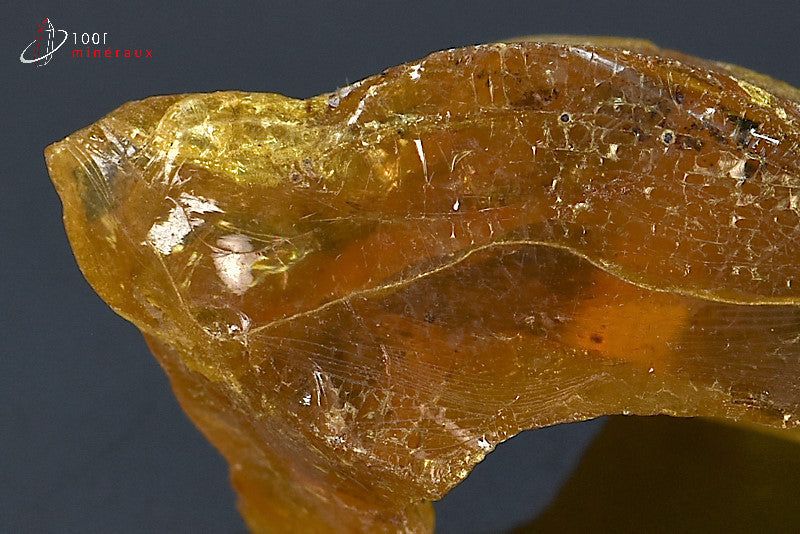 Copal jaune de Madagascar