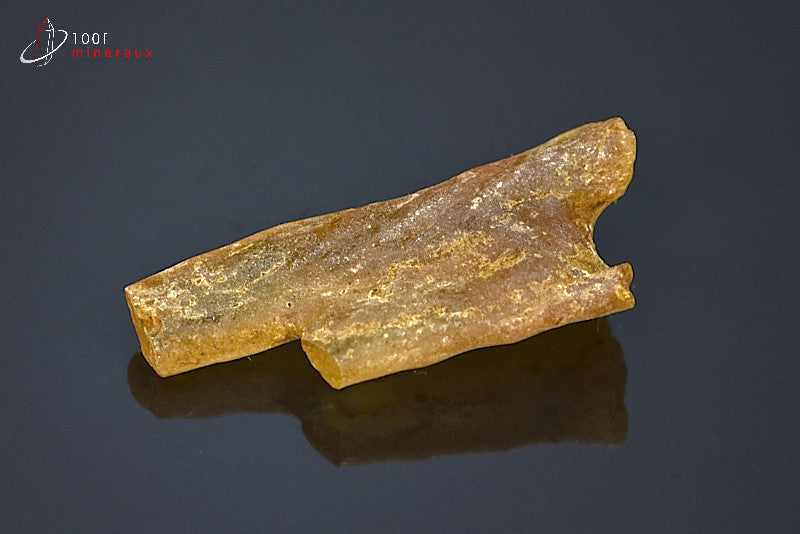 Copal jaune de Madagascar