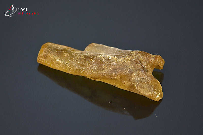 Copal jaune de Madagascar