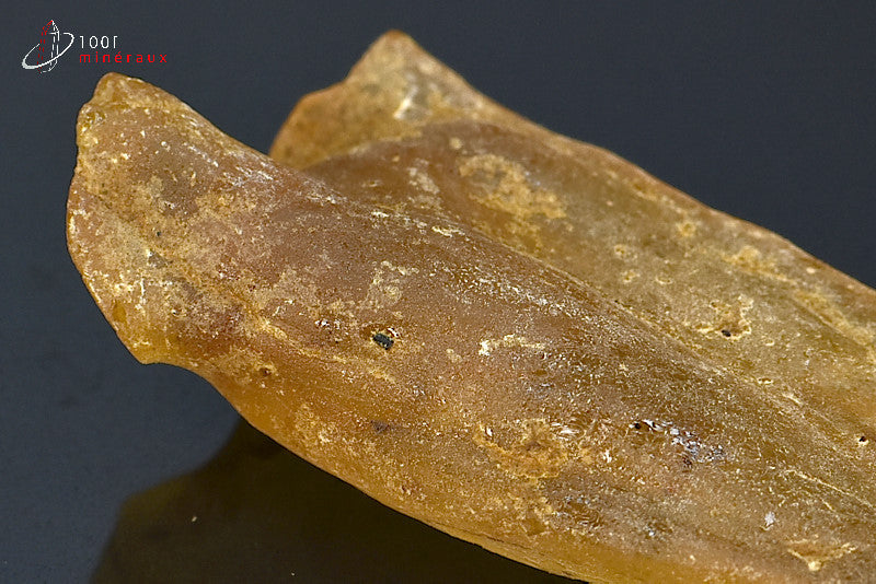 Copal jaune de Madagascar
