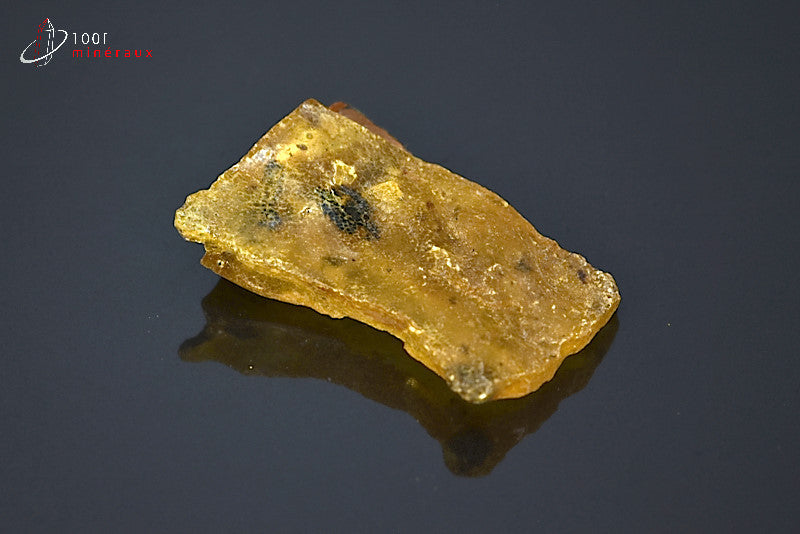 Copal jaune de Madagascar