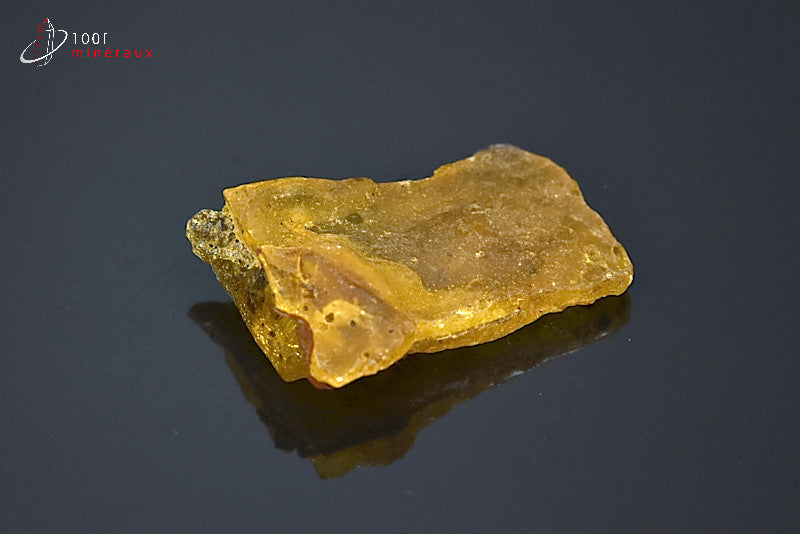 Copal jaune de Madagascar