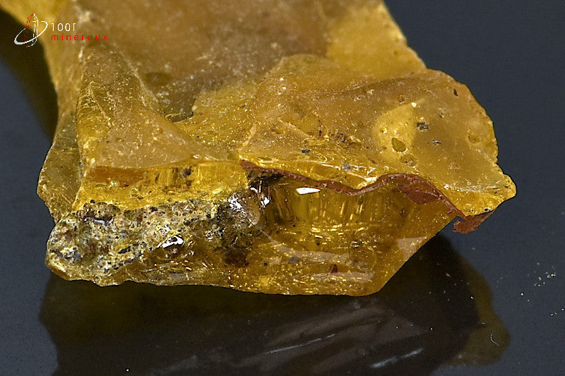 Copal jaune de Madagascar