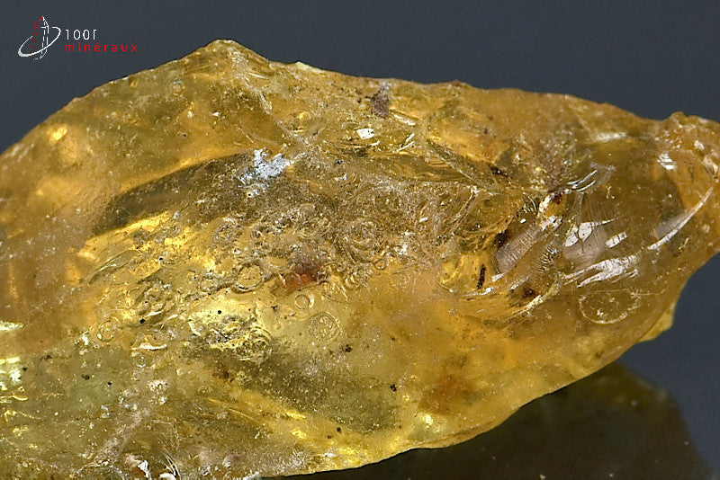 Copal jaune de Madagascar