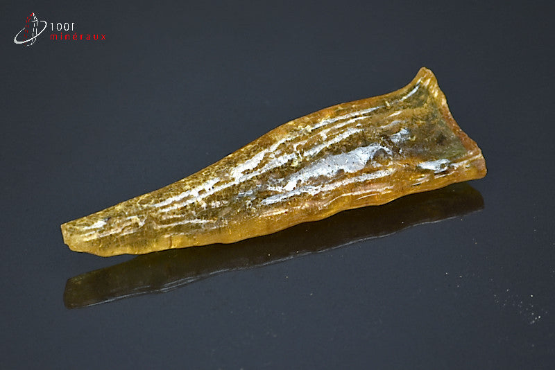 Copal jaune de Madagascar