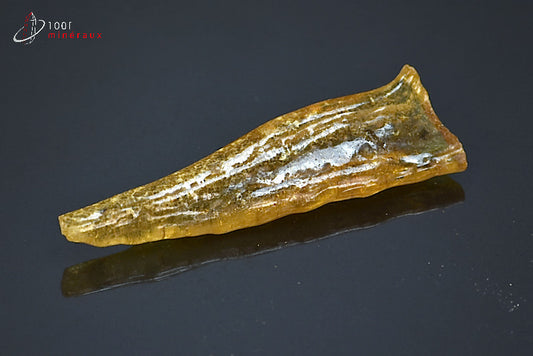 Copal jaune de Madagascar