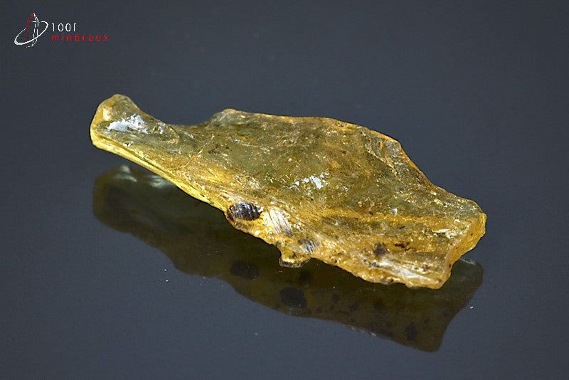 Copal jaune de Madagascar