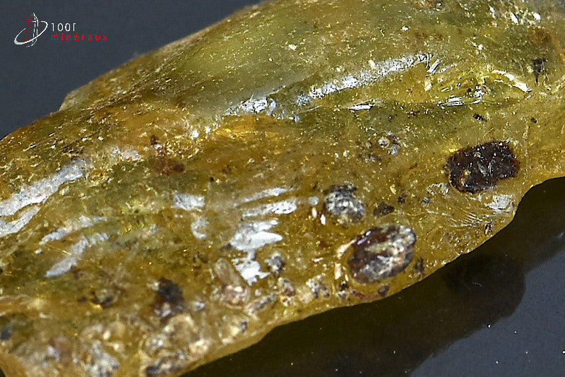 Copal jaune de Madagascar