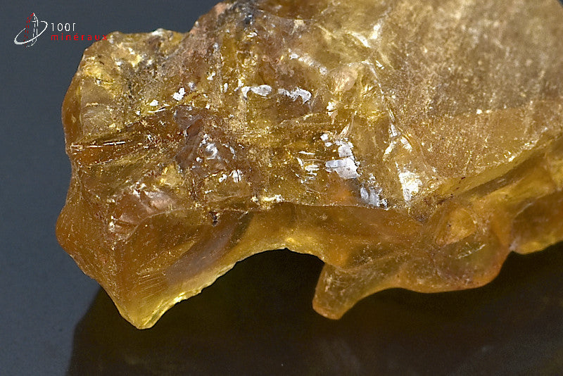 Copal jaune de Madagascar