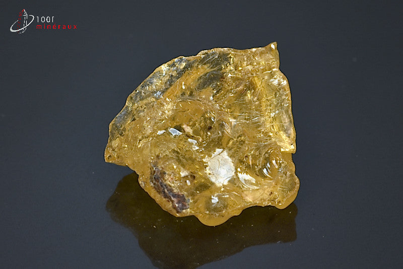 Copal jaune de Madagascar