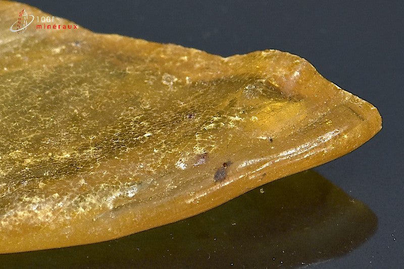 Copal jaune de Madagascar