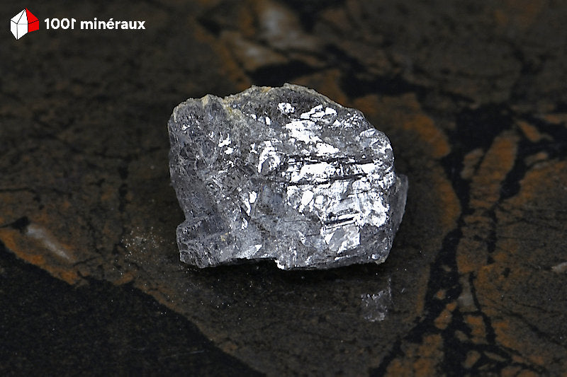 Galène sur Quartz blanc d'Espagne - Vue d'ensemble, cristaux cubiques bien individualisés - 42 g