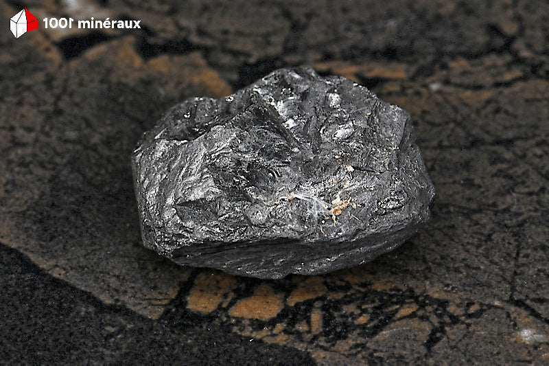 Shungite brute de Russie - Surface noire submétalique naturelle - 19 g - BD646