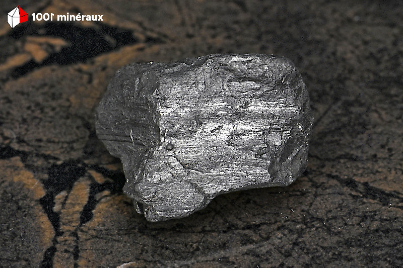 Shungite brute de Russie - 3,9 x 3 x 2,8 cm - BD648
