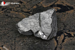 Shungite brute de Russie - 16 g / BD649 - Vignette | 1001 minéraux