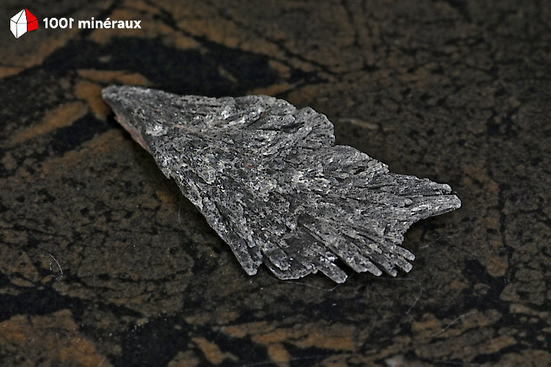 Taramite de Russie - Éventail de cristaux 4,8 x 2,2 x 0,7 cm - BD657
