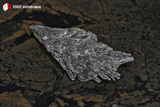 Taramite de Russie - Éventail de cristaux 4,8 x 2,2 x 0,7 cm - BD657
