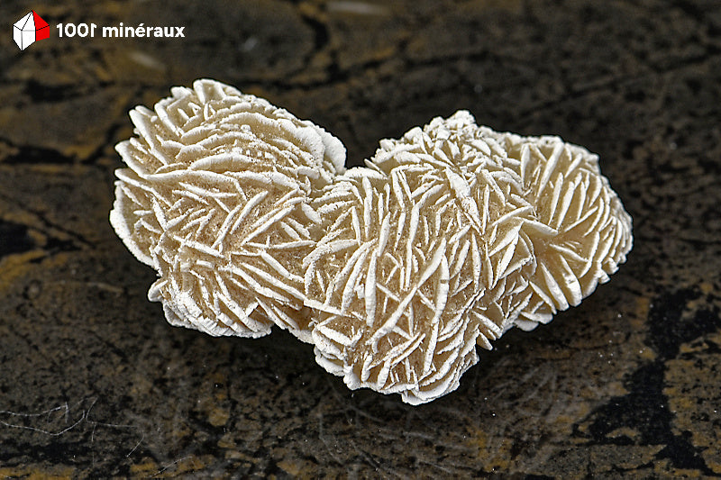 Rose des sables du Mexique - Vue d'ensemble des sphères cristallisées gris-beige - 63 g - BD706

