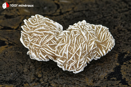 Rose des sables du Mexique - Vue d'ensemble des sphères cristallisées gris-beige - 63 g - BD706
