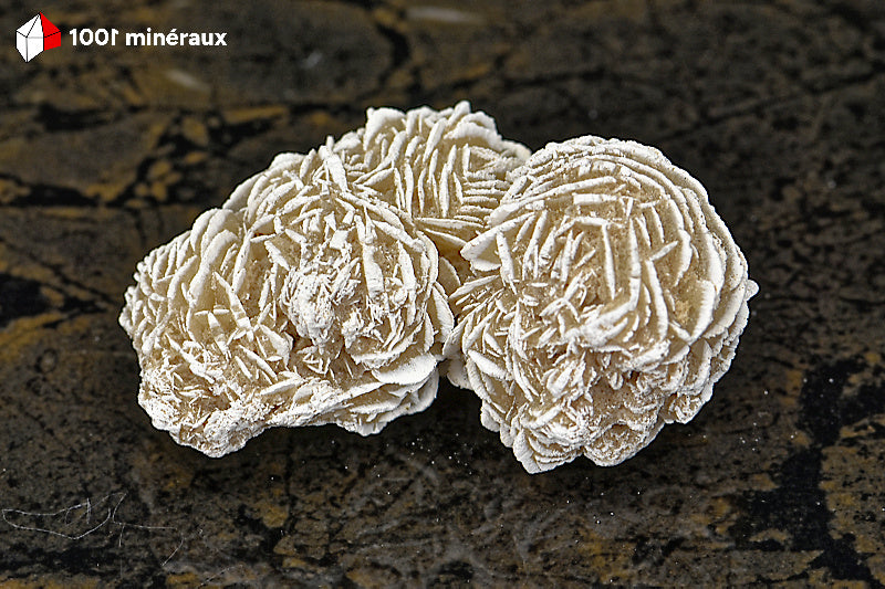 Rose des sables du Mexique - Vue d'ensemble de l'assemblage sphérique aux arêtes blanches - 63 g - BD706
