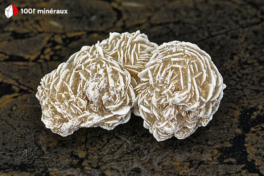 Rose des sables du Mexique - Vue d'ensemble de l'assemblage sphérique aux arêtes blanches - 63 g - BD706
