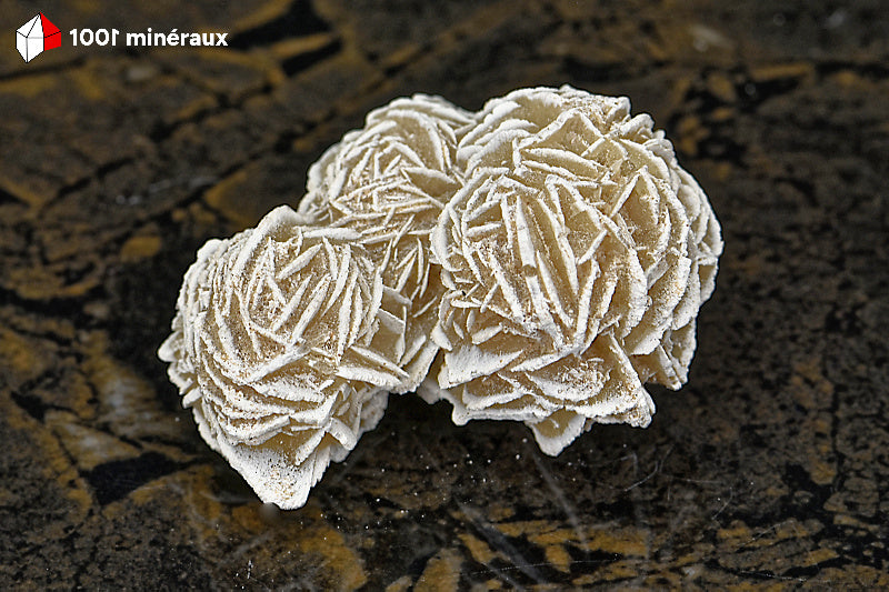 Rose des sables du Mexique - Vue d'ensemble des 3 sphères cristallisées gris-beige - 57 g - BD707
