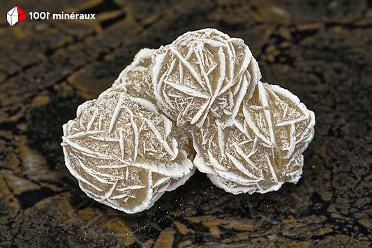 Rose des sables du Mexique - Vue d'ensemble des 4 sphères cristallisées gris-beige - 70 g - BD708
