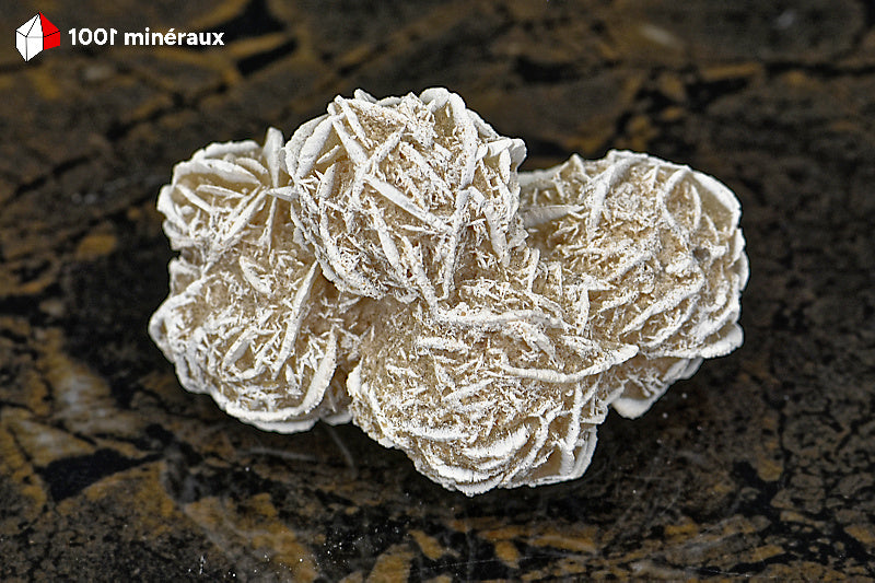 Rose des sables du Mexique - Vue d'ensemble de l'assemblage de 4 sphères aux arêtes blanches - 70 g - BD708
