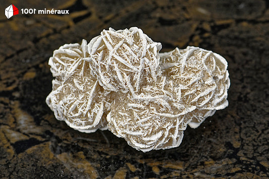 Rose des sables du Mexique - Vue d'ensemble de l'assemblage de 4 sphères aux arêtes blanches - 70 g - BD708
