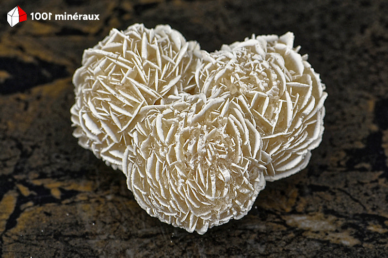 Rose des sables du Mexique - Vue d'ensemble des 3 sphères cristallisées gris-beige - 104 g - BD709
